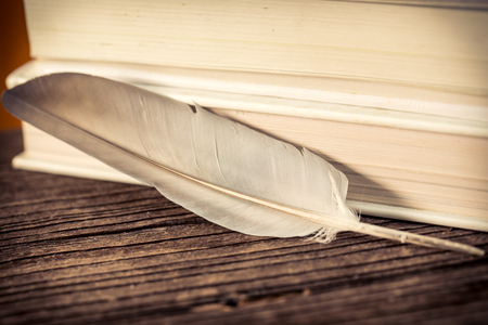 Feather on wood の写真素材