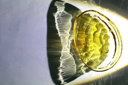 Colorful light through the small glass trayの写真素材