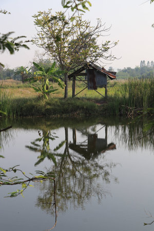 The view of reflection in the pondの写真素材
