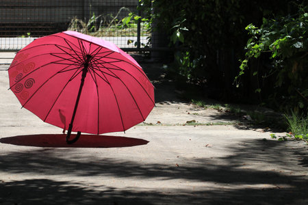 Transparency pink umbrella on the groundの写真素材