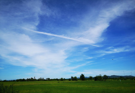 The beautiful view of the rice fieldの写真素材