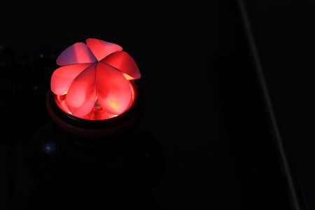 Close up transparency red paper flower on black groundの写真素材