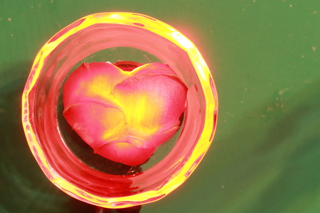 Transparency red heart on glass cup on green backgroundの写真素材