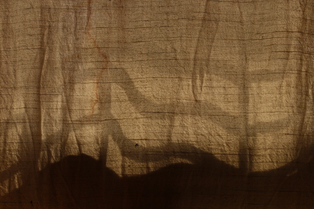 The  light and shadow on brown window curtainの写真素材