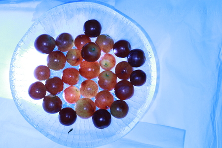 Transparency red grapes in  glass cup on blue backgroundの写真素材