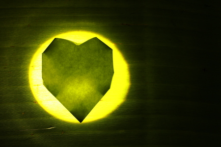 Transparent green paper heart on green backgroundの写真素材