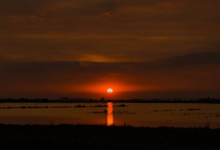 Beautiful sunset landscape at rice fields were flooded in Thailandの写真素材