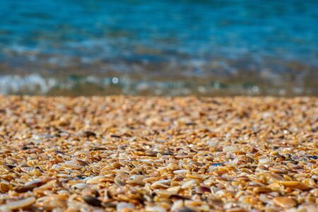 Finely milled shells and wet sand on the beach, clear emerald sea and no people. Close up. Copy space, full frame.の写真素材