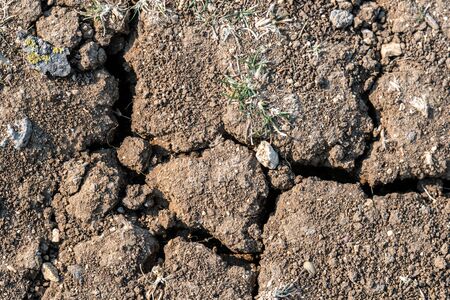 Land with dry and cracked ground. Desert, Global warming background.の写真素材