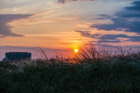 Field with wild grasses at sunset. Selective focus. summer landscape, rural nature. Feather pennisetum or Mission grass backlitght glow against the sunlight with sunflare and bokeh. place for textの写真素材