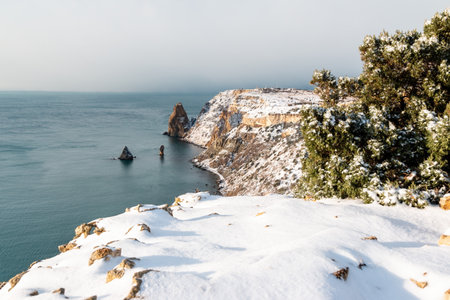 Snow covered rocky cliffs over sea. Winter sunset over the sea bay. Juniper tree under snow. Concept of winter holidays, travel, adventure and recreation Cape Fiolent in Balaklava, Sevastopol, Crimea.の写真素材