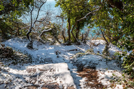 Snow covered rocky cliffs over sea. Winter sunset over the sea bay. Juniper tree under snow. Concept of winter holidays, travel, adventure and recreation Cape Fiolent in Balaklava, Sevastopol, Crimea.の写真素材