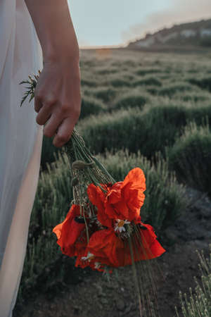 Bride in a white dress holding a bouquet of poppy flowers, warm sunset time on the background of the lavender field. Copy space. The concept of calmness, silence and unity with nature.の写真素材