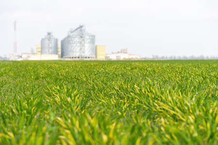Grain elevator. Metal grain elevator in agricultural zone. Agriculture storage for harvest. Grain elevators on green nature background. Exterior of agricultural factory.の写真素材