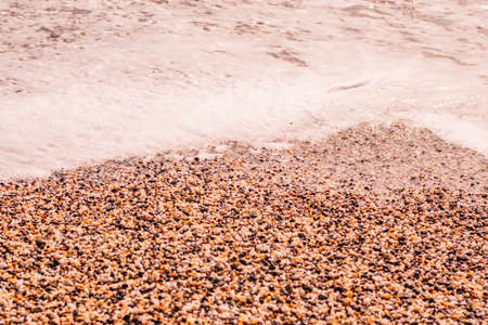 Abstract nature summer or spring ocean sea background. Small waves on golden warm water surface in...