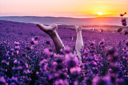 Selective focus. Slender ballerina girl legs in lavender bushes, warm sunset light. Bushes of purple lavender in blossom, aromatic flowers at lavender fields of the French Provence near Valensoleの写真素材