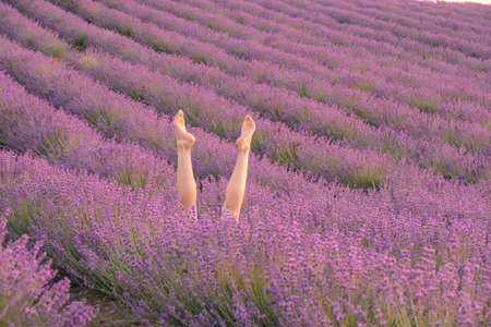 Selective focus. Slender ballerina girl legs in lavender bushes, warm sunset light. Bushes of purple...