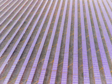 Aerial top view of a solar panels power plant. Photovoltaic solar panels at sunrise and sunset in...