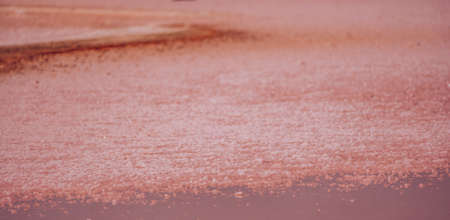 Pink salt crystals. Natural pink salt lake texture. Salt mining. Extremely salty pink lake, colored by microalgae with crystalline salt depositionsの写真素材