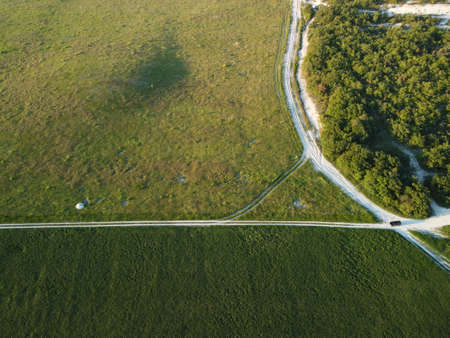 Aerial view on green wheat field in countryside. Field of wheat blowing in the wind on sunset. Young and green Spikelets. Ears of barley crop in nature. Agronomy, industry and food production.の写真素材
