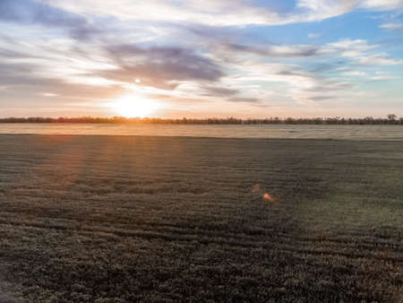 Grain elevator. Metal grain elevator in agricultural zone. Agriculture storage for harvest. Grain silos on green nature background. Exterior of agricultural factory. Sunset warm light. Nobody.の写真素材