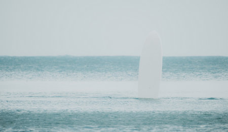 Sea man sup. Asian athlete man swimming in sea and paddleboarding at summer sunset. Healthy strong male enjoy outdoor active lifestyle and water sports on holiday vacation.の写真素材