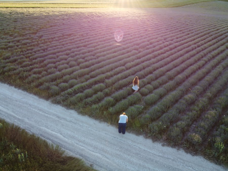 Aerial Lavender fields. Happy woman run in endless rows of blooming lavender fields on summer sunset time. Lavender Oil Production. Field with lavender rows. Aromatherapy. Relax.の写真素材