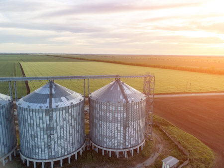 Grain silos on a green field background with warm sunset light. Grain elevator. Metal grain elevator in agricultural zone. Agriculture storage for harvest. Aerial view of agricultural factory. Nobody.の写真素材