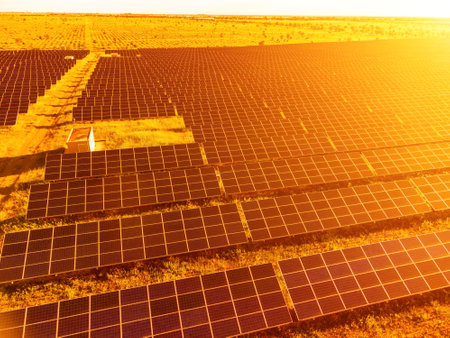 Aerial top view of a solar panels power plant. Photovoltaic solar panels at sunrise and sunset in countryside from above. Modern technology, climate care, earth saving, renewable energy concept.の写真素材