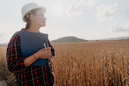 Woman wheat field. Agronomist, Woman farmer check golden ripe barley spikes in cultivated field....