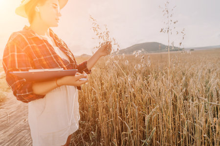 Woman wheat field. Agronomist, Woman farmer check golden ripe barley spikes in cultivated field....