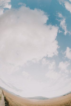Expansive Sky Over a Golden Field
