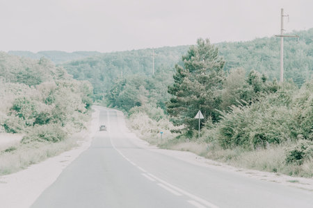 Serene Road Through a Verdant Forestの写真素材