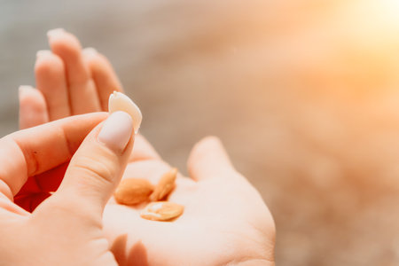 Almonds, Hand, Holding - Close-up of hands holding almonds in sunlight.の写真素材
