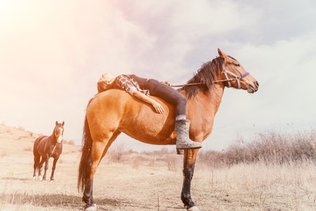 Woman Horseback Riding Field Relaxing - A woman is lying on the back of a horse in a field, relaxing and enjoying the scenery.の写真素材