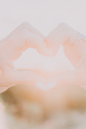 Mountains, Landscape, Sunrise: A soft, white sunrise over a mountain range.の写真素材