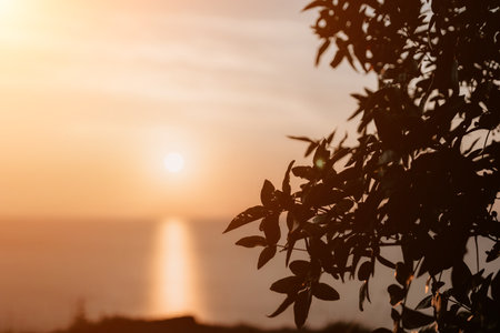 Silhouetted Leaves Against a Sunset Skyの写真素材
