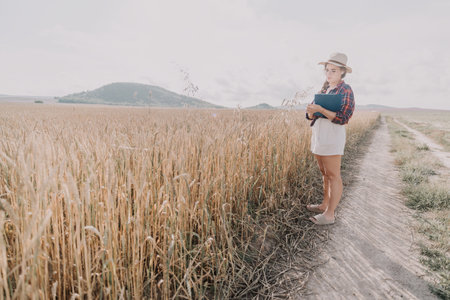 Woman Examining Crops in a Wheat Fieldの写真素材