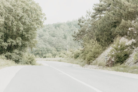 Empty Road Winding Through Green Forestの写真素材