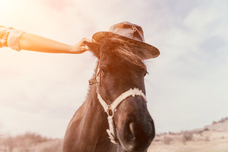 Horse Hat Hand - Person places a hat on a horses head in a field.の写真素材