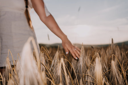 Womans Hand Reaching Into Wheat Fieldの写真素材