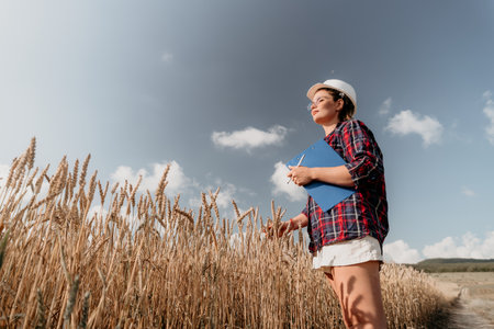 A Woman in a Wheat Field Holding a Clipboardの写真素材
