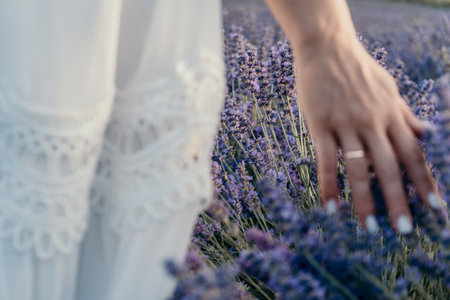 Lavender Field Woman Hand Summer: Gentle touch, serene moment, Provence-like setting.の写真素材