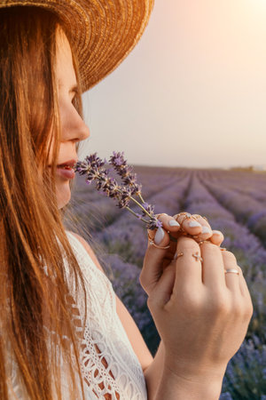 Lavender Fields Woman Summer: Enjoying fragrant purple flowers during sunny Provence harvest.の写真素材