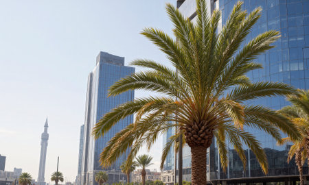 Date Palm (Phoenix dactylifera) A towering, hardy palm tree with feathery fronds, the date palm is a symbolの素材