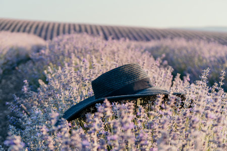 Black Hat on a Lavender Fieldの写真素材