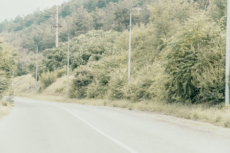 Empty Road Winding Through a Green Forestの写真素材
