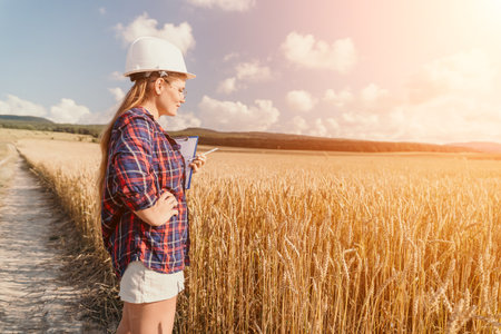 Woman wheat field. Agronomist, Woman farmer check golden ripe barley spikes in cultivated field....
