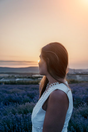 Woman Lavender Field Sunset: Peaceful sunrise view, Provence, France, summer serenity.の写真素材