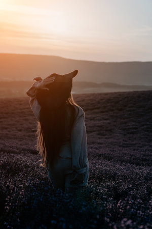 Silhouette of a Woman in a Lavender Field at Sunsetの写真素材